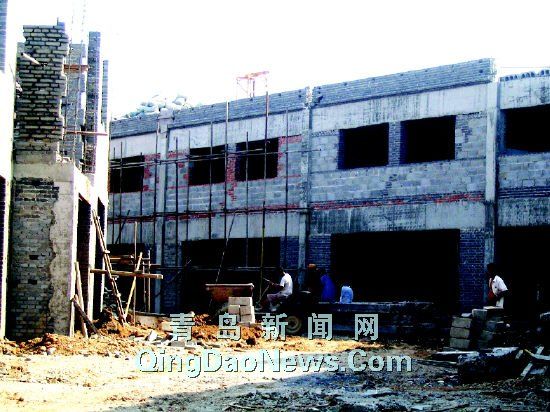 山东投资2700万筹建省内最大宠物市场即将开张