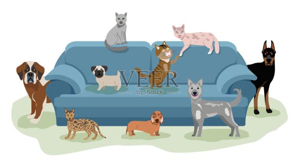 快乐的宠物在沙发上放松，猫和狗躺着设计元素图片
