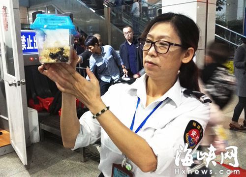 小伙带宠物进福州火车站被拦下 非洲巨蝎遭遗弃