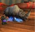 《魔兽世界》兽王猎人宠物技能汇总一览