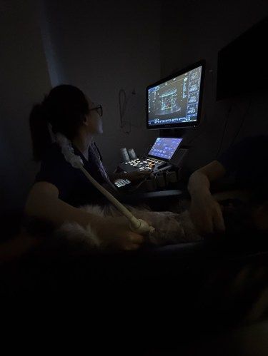 温馨干净舒适的宠物医院
