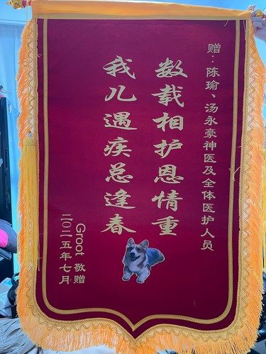 广州爱诺百思，养宠人的福音