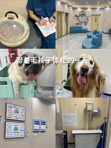 医术超赞 医心更美~