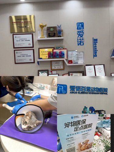 好的医院和医生，值得夸赞！！