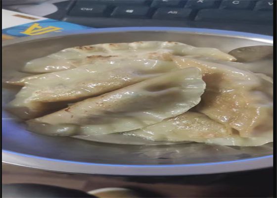 济南哪里有领养流浪狗的地方