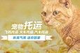 孝感宠物出国托运-宠物飞机托运