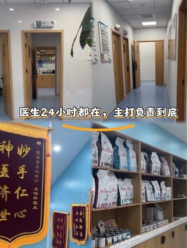 瑞景宠物医院 24 小时：专业为宠，负责到底