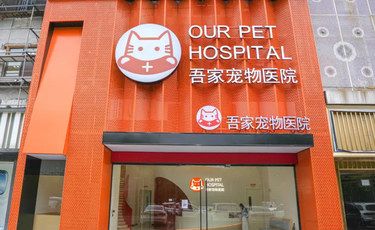 专业诊疗+爱心护理，给TA全方位守护