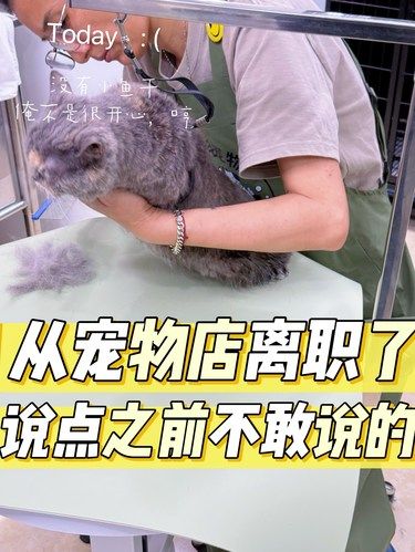宠物市场真的是该好好整顿一下了！