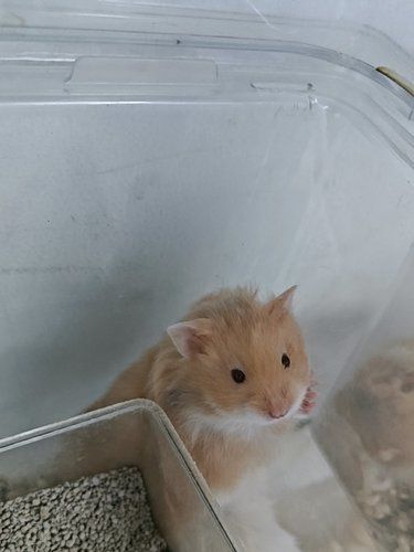 终于被我发现这家店里
