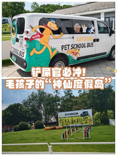 铲屎官必冲！毛孩子的“神仙度假岛”