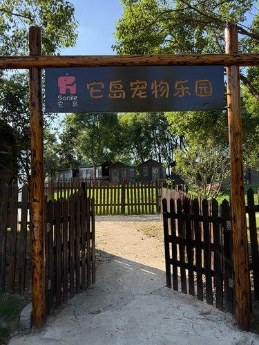 拥抱自然的一天