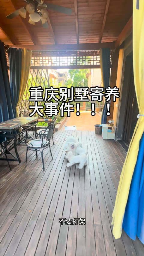 重庆寄养重庆大学城寄养狗狗寄养家庭别墅寄养宠物寄养