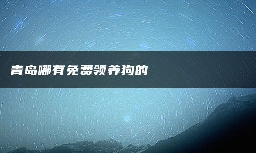青岛哪有免费领养狗的