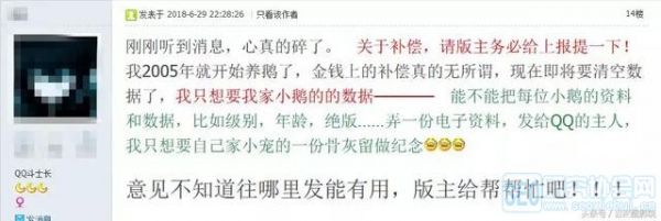 陪伴我们十多年的QQ宠物从此下线了……