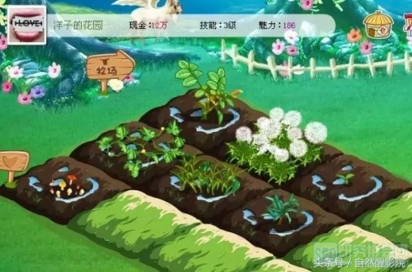 陪伴我们十多年的QQ宠物从此下线了……