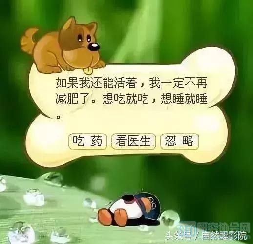 陪伴我们十多年的QQ宠物从此下线了……