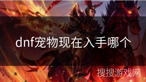 dnf宠物现在入手哪个