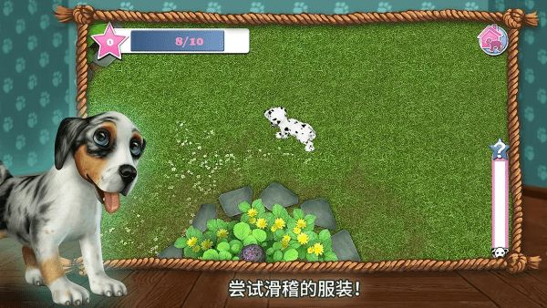 狗狗世界游戏 v4.8.92 安卓版 0