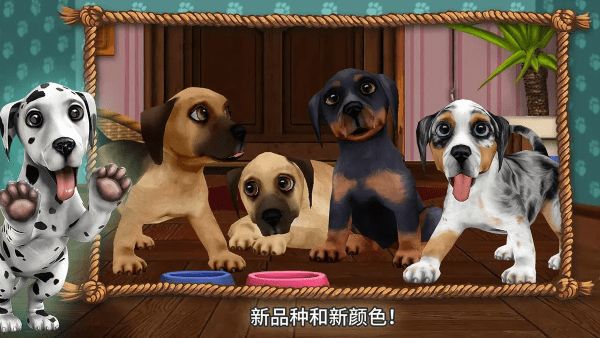 狗狗世界游戏 v4.8.92 安卓版 1