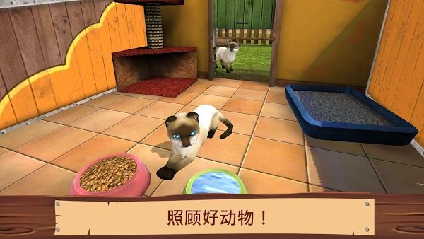 petworld动物之家最新版下载