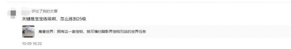 魔兽世界宠物对战挂机升120级玩法详解（25级宠物一般卖多少金币）