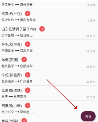 宠物托运7