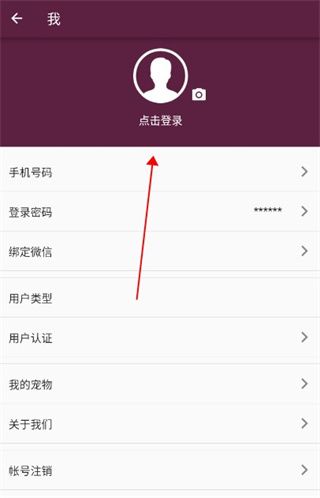 宠物托运6