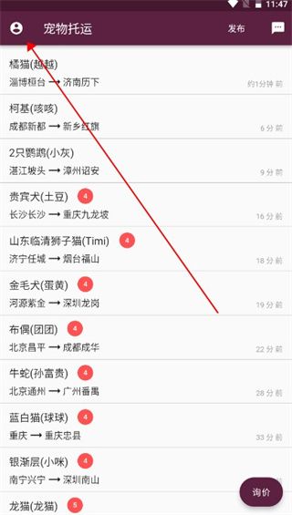 宠物托运5