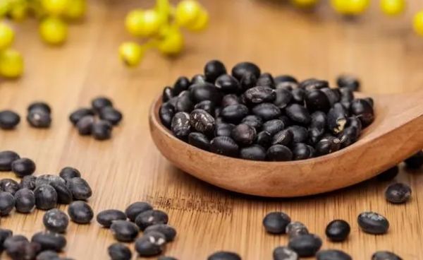 萌宠课堂：狗狗钙片和钙粉哪个比不错 狗狗吃钙片还是钙粉好？