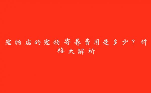宠物店的宠物寄养费用是多少？价格大解析