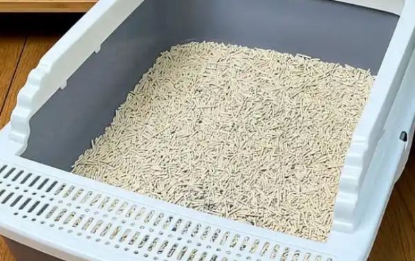咪咕宠物用品“零感”猫砂盆：用航天材料破解铲屎官痛点