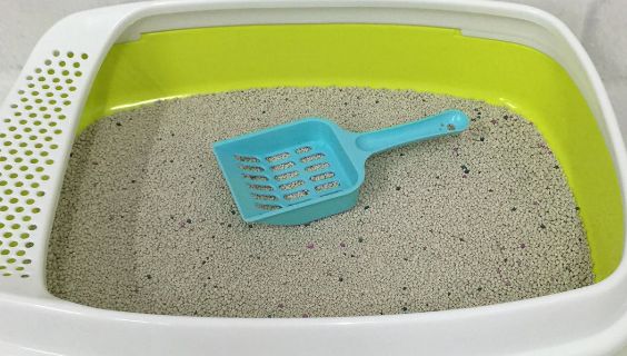 咪咕宠物用品“零感”猫砂盆：用航天材料破解铲屎官痛点