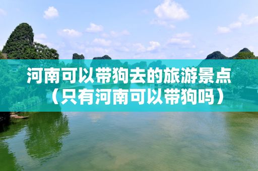 河南可以带狗去的旅游景点（只有河南可以带狗吗）