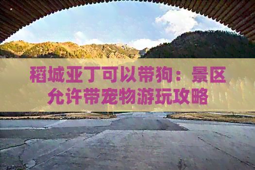 稻城亚丁可以带狗：景区允许带宠物游玩攻略
