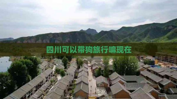 四川可以带狗旅行嘛现在