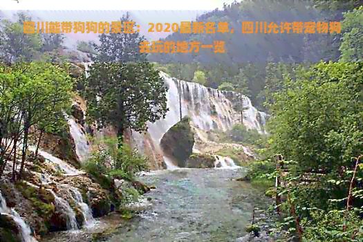 四川能带狗狗的景区：2020最新名单，四川允许带宠物狗去玩的地方一览