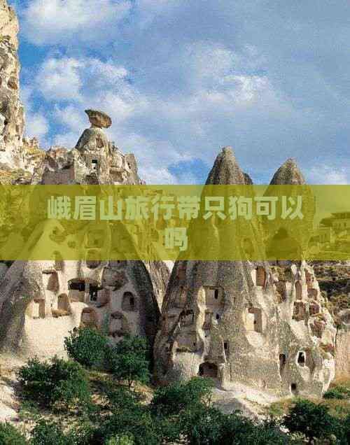 峨眉山旅行带只狗可以吗