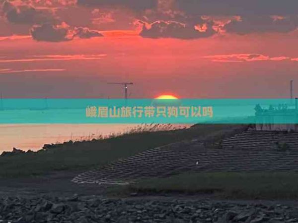 峨眉山旅行带只狗可以吗