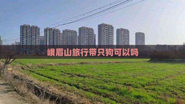峨眉山旅行带只狗可以吗