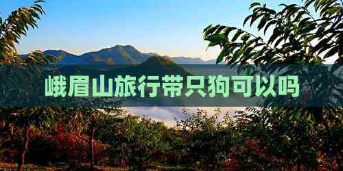 峨眉山旅行带只狗可以吗