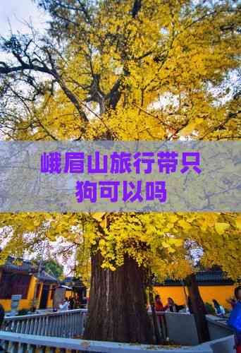 峨眉山旅行带只狗可以吗