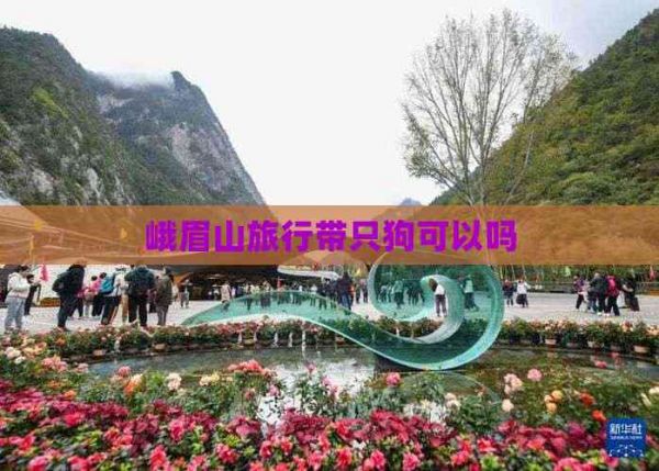 峨眉山旅行带只狗可以吗
