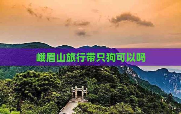 峨眉山旅行带只狗可以吗