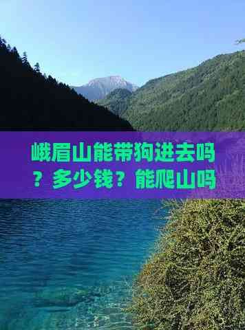 峨眉山能带狗进去吗？多少钱？能爬山吗？
