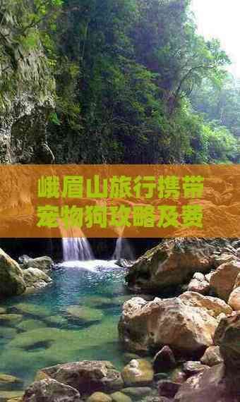 峨眉山旅行携带宠物狗攻略及费用详解
