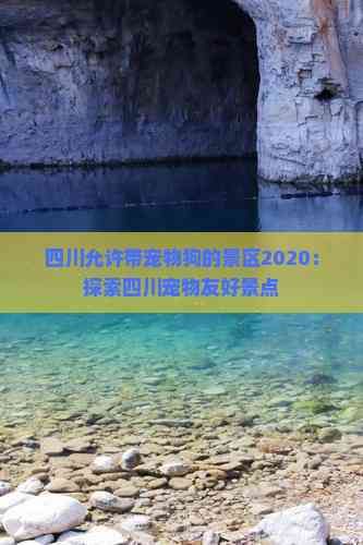 四川允许带宠物狗的景区2020：探索四川宠物友好景点