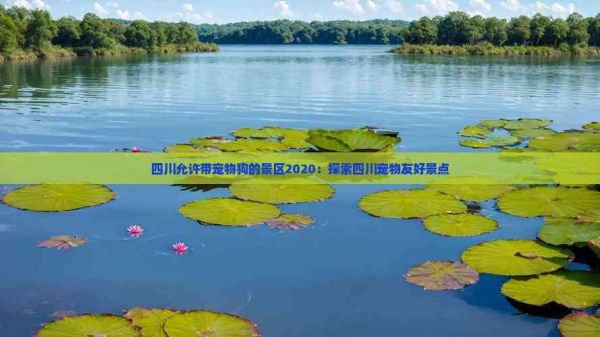 四川允许带宠物狗的景区2020：探索四川宠物友好景点