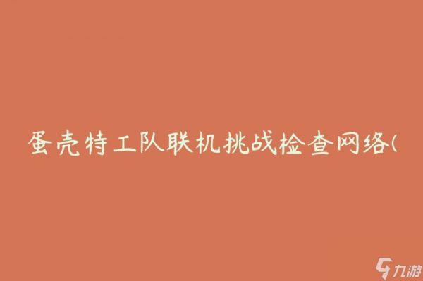 蛋壳特工队联机挑战检查网络(如何保障网络安全？)