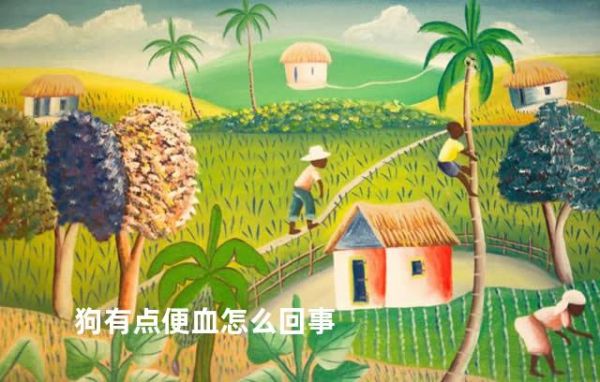 狗有点便血怎么回事